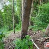 Monatsübung Juni